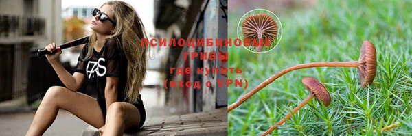 mdpv Заволжье