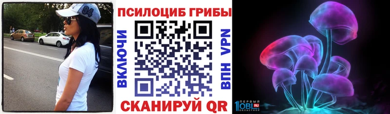 Псилоцибиновые грибы Psilocybine cubensis  Купить  Грязовец 